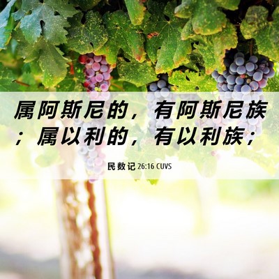 Picture 06 - 民 数 记 26:16 CUVS - 属 阿 斯 尼 的 ， 有 阿 斯 尼 族 ； - Bible Verse Picture