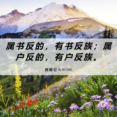 Picture 06 - 民 数 记 26:39 CUVS - 属 书 反 的 ， 有 书 反 族 ； 属 户 - Bible Verse Picture
