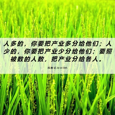 Picture 06 - 民 数 记 26:54 CUVS - 人 多 的 ， 你 要 把 产 业 多 分 给 - Bible Verse Picture