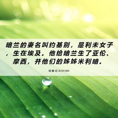 Picture 06 - 民 数 记 26:59 CUVS - 暗 兰 的 妻 名 叫 约 基 别 ， 是 利 - Bible Verse Picture