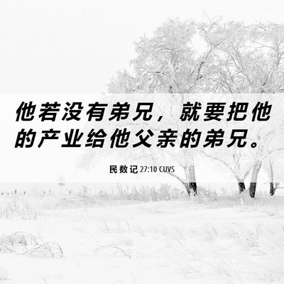 Picture 06 - 民 数 记 27:10 CUVS - 他 若 没 有 弟 兄 ， 就 要 把 他 的 - Bible Verse Picture