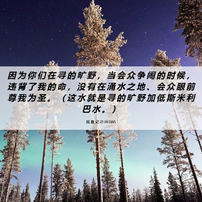 Picture 06 - 民 数 记 27:14 CUVS - 因 为 你 们 在 寻 的 旷 野 ， 当 会 - Bible Verse Picture