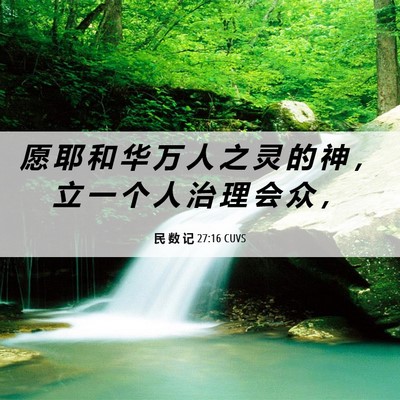 Picture 06 - 民 数 记 27:16 CUVS - 愿 耶 和 华 万 人 之 灵 的 神 ， 立 - Bible Verse Picture