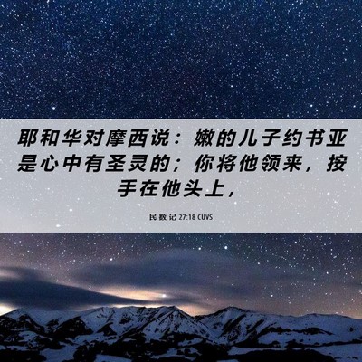 Picture 06 - 民 数 记 27:18 CUVS - 耶 和 华 对 摩 西 说 ： 嫩 的 儿 子 - Bible Verse Picture