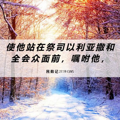 Picture 06 - 民 数 记 27:19 CUVS - 使 他 站 在 祭 司 以 利 亚 撒 和 全 - Bible Verse Picture