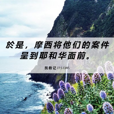 Picture 06 - 民 数 记 27:5 CUVS - 於 是 ， 摩 西 将 他 们 的 案 件 呈 - Bible Verse Picture
