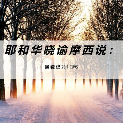 Picture 06 - 民 数 记 28:1 CUVS - 耶 和 华 晓 谕 摩 西 说 - Bible Verse Picture