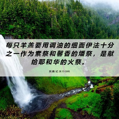 Picture 06 - 民 数 记 28:13 CUVS - 每 只 羊 羔 要 用 调 油 的 细 面 伊 - Bible Verse Picture