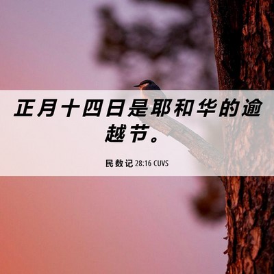 Picture 06 - 民 数 记 28:16 CUVS - 正 月 十 四 日 是 耶 和 华 的 逾 越 - Bible Verse Picture
