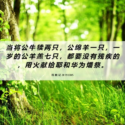Picture 06 - 民 数 记 28:19 CUVS - 当 将 公 牛 犊 两 只 ， 公 绵 羊 一 - Bible Verse Picture