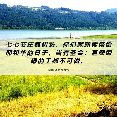 Picture 06 - 民 数 记 28:26 CUVS - 七 七 节 庄 稼 初 熟 ， 你 们 献 新 - Bible Verse Picture