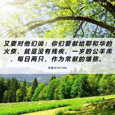 Picture 06 - 民 数 记 28:3 CUVS - 又 要 对 他 们 说 ： 你 们 要 献 给 - Bible Verse Picture