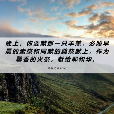 Picture 06 - 民 数 记 28:8 CUVS - 晚 上 ， 你 要 献 那 一 只 羊 羔 ， - Bible Verse Picture