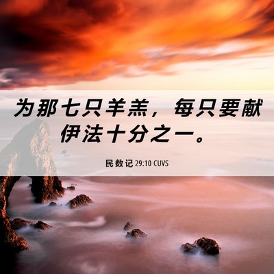 Picture 06 - 民 数 记 29:10 CUVS - 为 那 七 只 羊 羔 ， 每 只 要 献 伊 - Bible Verse Picture
