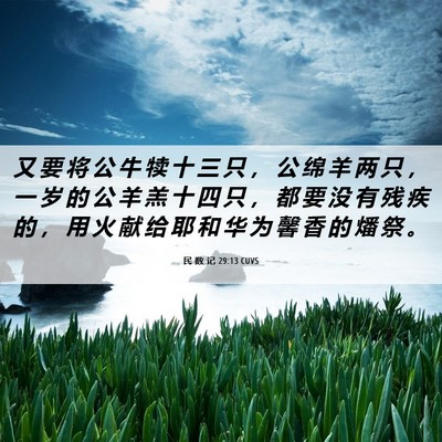 Picture 06 - 民 数 记 29:13 CUVS - 又 要 将 公 牛 犊 十 三 只 ， 公 绵 - Bible Verse Picture