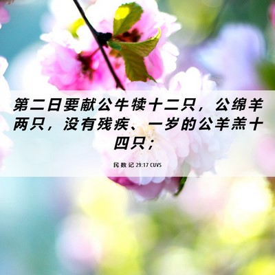 Picture 06 - 民 数 记 29:17 CUVS - 第 二 日 要 献 公 牛 犊 十 二 只 ， - Bible Verse Picture