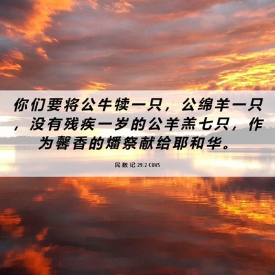 Picture 06 - 民 数 记 29:2 CUVS - 你 们 要 将 公 牛 犊 一 只 ， 公 绵 - Bible Verse Picture