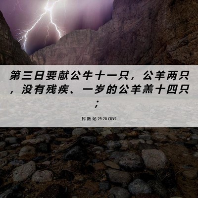 Picture 06 - 民 数 记 29:20 CUVS - 第 三 日 要 献 公 牛 十 一 只 ， 公 - Bible Verse Picture