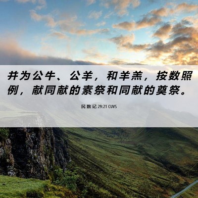 Picture 06 - 民 数 记 29:21 CUVS - 并 为 公 牛 、 公 羊 ， 和 羊 羔 ， - Bible Verse Picture
