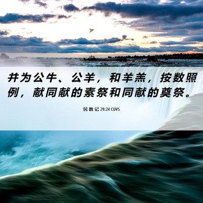 Picture 06 - 民 数 记 29:24 CUVS - 并 为 公 牛 、 公 羊 ， 和 羊 羔 ， - Bible Verse Picture