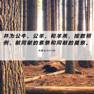 Picture 06 - 民 数 记 29:27 CUVS - 并 为 公 牛 、 公 羊 ， 和 羊 羔 ， - Bible Verse Picture