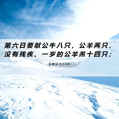 Picture 06 - 民 数 记 29:29 CUVS - 第 六 日 要 献 公 牛 八 只 ， 公 羊 - Bible Verse Picture