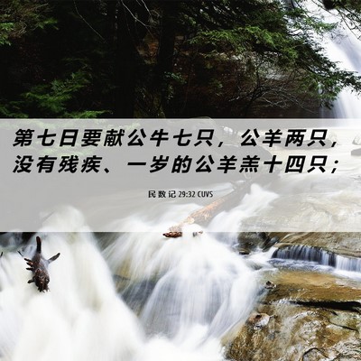 Picture 06 - 民 数 记 29:32 CUVS - 第 七 日 要 献 公 牛 七 只 ， 公 羊 - Bible Verse Picture