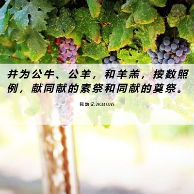 Picture 06 - 民 数 记 29:33 CUVS - 并 为 公 牛 、 公 羊 ， 和 羊 羔 ， - Bible Verse Picture