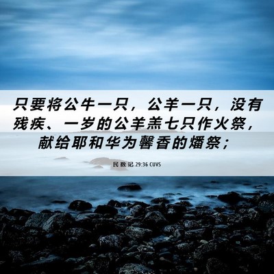 Picture 06 - 民 数 记 29:36 CUVS - 只 要 将 公 牛 一 只 ， 公 羊 一 只 - Bible Verse Picture