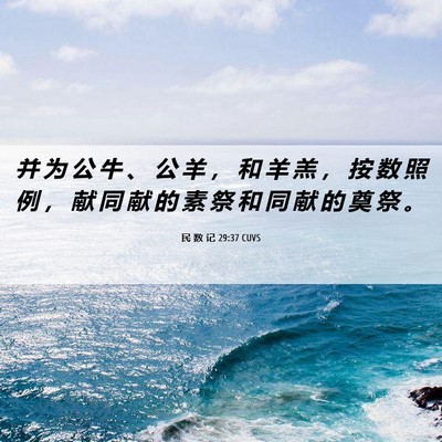 Picture 06 - 民 数 记 29:37 CUVS - 并 为 公 牛 、 公 羊 ， 和 羊 羔 ， - Bible Verse Picture