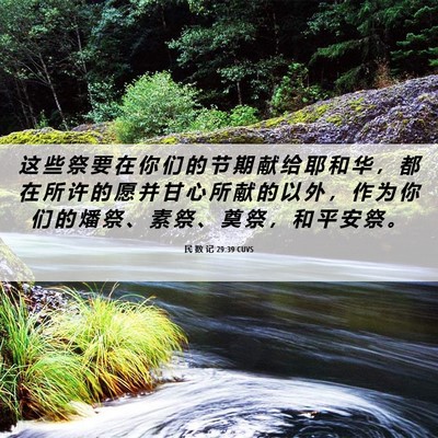 Picture 06 - 民 数 记 29:39 CUVS - 这 些 祭 要 在 你 们 的 节 期 献 给 - Bible Verse Picture