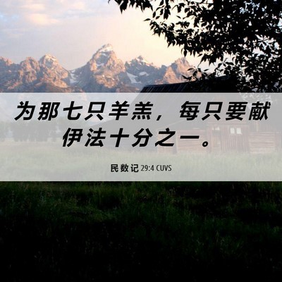 Picture 06 - 民 数 记 29:4 CUVS - 为 那 七 只 羊 羔 ， 每 只 要 献 伊 - Bible Verse Picture