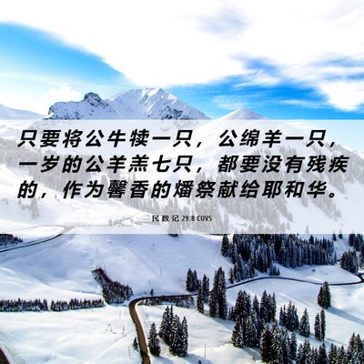 Picture 06 - 民 数 记 29:8 CUVS - 只 要 将 公 牛 犊 一 只 ， 公 绵 羊 - Bible Verse Picture