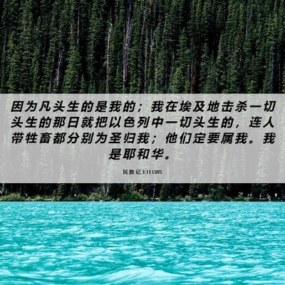 Picture 06 - 民 数 记 3:13 CUVS - 因 为 凡 头 生 的 是 我 的 ； 我 在 - Bible Verse Picture