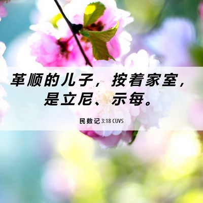 Picture 06 - 民 数 记 3:18 CUVS - 革 顺 的 儿 子 ， 按 着 家 室 ， 是 - Bible Verse Picture