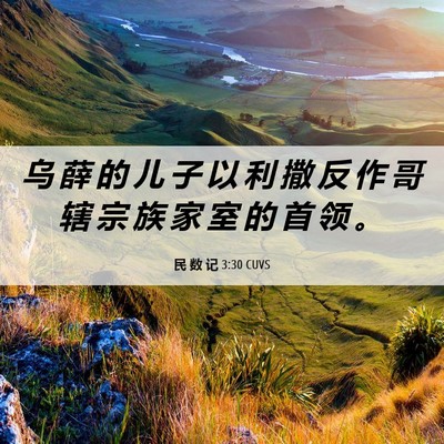 Picture 06 - 民 数 记 3:30 CUVS - 乌 薛 的 儿 子 以 利 撒 反 作 哥 辖 - Bible Verse Picture