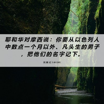Picture 06 - 民 数 记 3:40 CUVS - 耶 和 华 对 摩 西 说 ： 你 要 从 以 - Bible Verse Picture