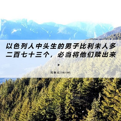 Picture 06 - 民 数 记 3:46 CUVS - 以 色 列 人 中 头 生 的 男 子 比 利 - Bible Verse Picture