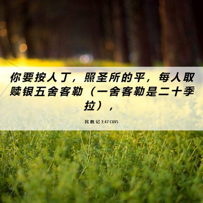Picture 06 - 民 数 记 3:47 CUVS - 你 要 按 人 丁 ， 照 圣 所 的 平 ， - Bible Verse Picture