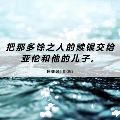 Picture 06 - 民 数 记 3:48 CUVS - 把 那 多 馀 之 人 的 赎 银 交 给 亚 - Bible Verse Picture