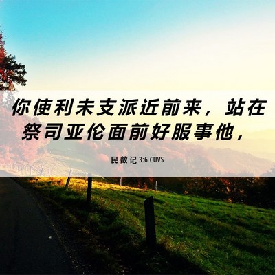 Picture 06 - 民 数 记 3:6 CUVS - 你 使 利 未 支 派 近 前 来 ， 站 在 - Bible Verse Picture
