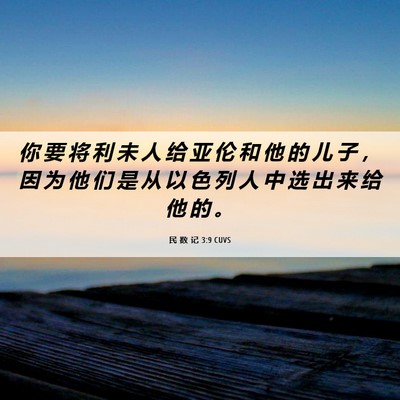 Picture 06 - 民 数 记 3:9 CUVS - 你 要 将 利 未 人 给 亚 伦 和 他 的 - Bible Verse Picture