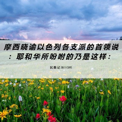 Picture 06 - 民 数 记 30:1 CUVS - 摩 西 晓 谕 以 色 列 各 支 派 的 首 - Bible Verse Picture