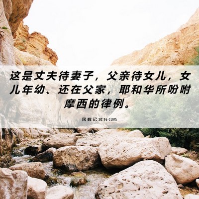 Picture 06 - 民 数 记 30:16 CUVS - 这 是 丈 夫 待 妻 子 ， 父 亲 待 女 - Bible Verse Picture