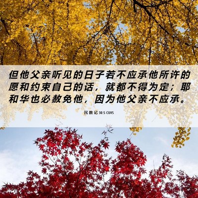 Picture 06 - 民 数 记 30:5 CUVS - 但 他 父 亲 听 见 的 日 子 若 不 应 - Bible Verse Picture