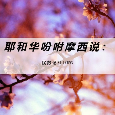 Picture 06 - 民 数 记 31:1 CUVS - 耶 和 华 吩 咐 摩 西 说 - Bible Verse Picture