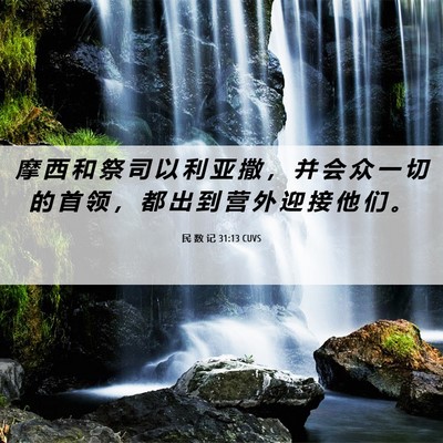Picture 06 - 民 数 记 31:13 CUVS - 摩 西 和 祭 司 以 利 亚 撒 ， 并 会 - Bible Verse Picture