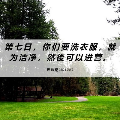 Picture 06 - 民 数 记 31:24 CUVS - 第 七 日 ， 你 们 要 洗 衣 服 ， 就 - Bible Verse Picture