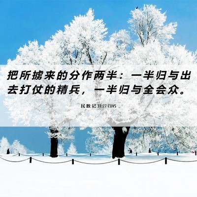 Picture 06 - 民 数 记 31:27 CUVS - 把 所 掳 来 的 分 作 两 半 ： 一 半 - Bible Verse Picture