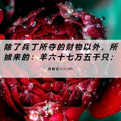 Picture 06 - 民 数 记 31:32 CUVS - 除 了 兵 丁 所 夺 的 财 物 以 外 ， - Bible Verse Picture